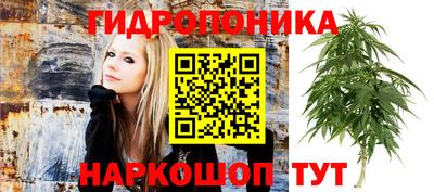 хмурый Малгобек