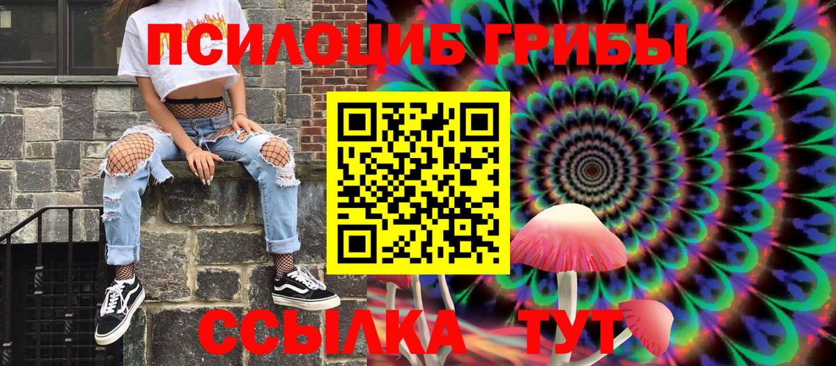 Горячий Ключ  Псилоцибиновые грибы Cubensis  Вход с VPN 